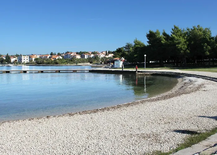 - Diklo 5887b * Zára